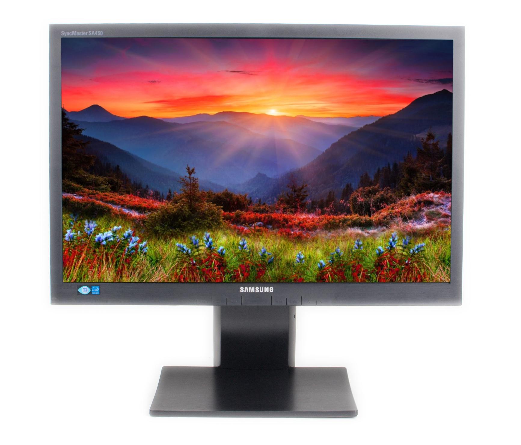 Samsung SyncMaster S22A450 monitor 22